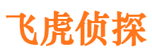 鹤城市私家侦探